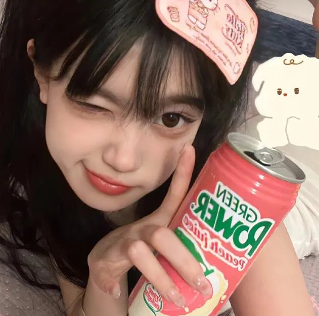 毛茸茸的狗